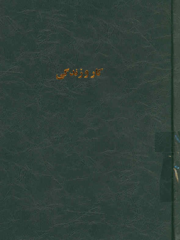 کار و زندگی