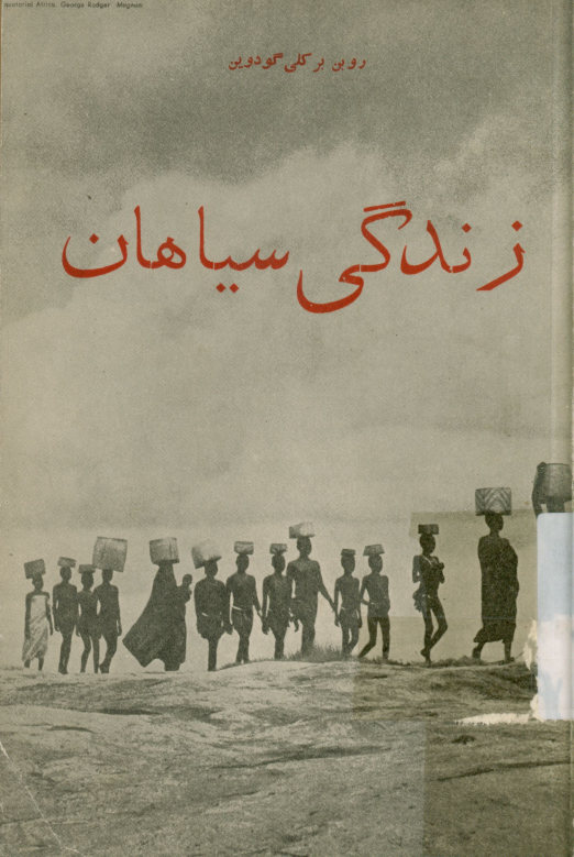 زندگی سیاهان