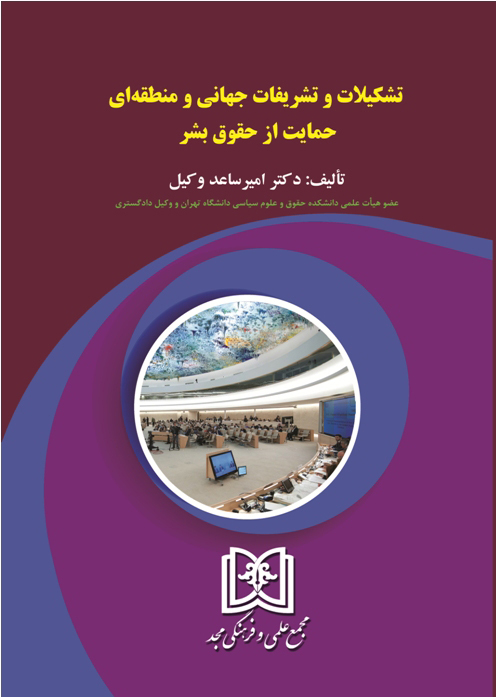 تشکیلات و تشریفات جهانی و منطقه‌ای حمایت از حقوق بشر