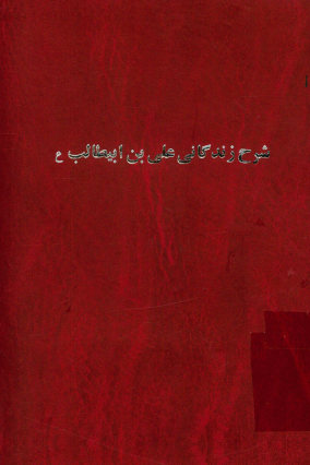 زندگانی علی (ع)