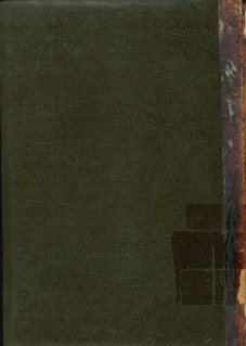 محمد حسین هیکل