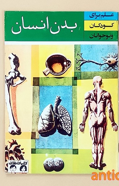 بدن انسان